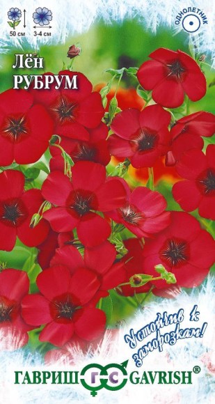 Цветы ЛЁН Рубрум крупноцветковый ЦВ/П (ГАВРИШ) 0,5гр однолетник красный 50см