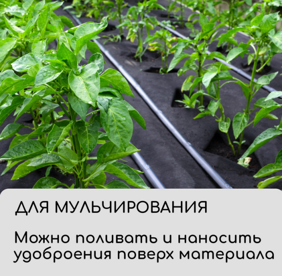 Упаковка Агротекс Чёрный М-120 шир 1,6м /длина 5метр