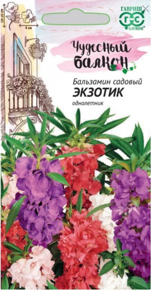 Цветы Бальзамин Экзотик карлик ЦВ/П (ГАВРИШ) 0,1гр однолетник 18-20см