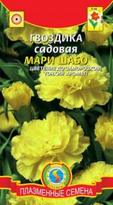Цветы Гвоздика садовая Мари Шабо ЦВ/П (ПЛАЗМА) 0,1гр жёлтая однолетник 60см