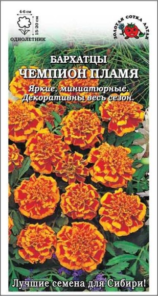 Цветы Бархатцы Чемпион Пламя ЦВ/П (СОТКА) 0,2гр однолетник 15-20см