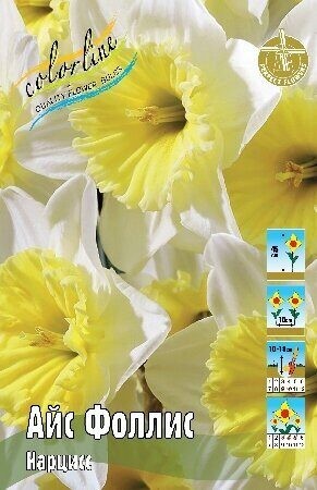 Нарциссы Айс Фоллис 12/14 (1уп/5шт)