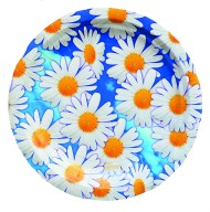 Тарелка бумажная Ромашки D-18см*10шт Арт-3244062