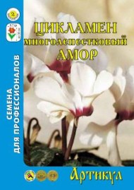 Цветы Цикламен Амор персидский ЦВ/П (АРТИКУЛ) 7шт комнатное Цветы Цикламен Амор персидский ЦВ/П (АРТИКУЛ) 7шт комнатное