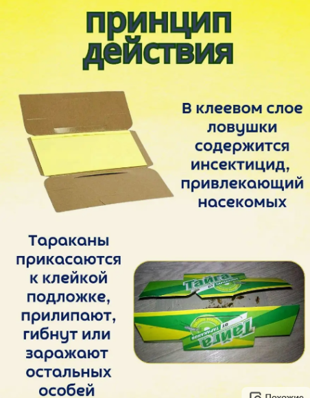 Клеевая ловушка Тайга от тараканов и муравьёв 19*9см (1уп/60шт) Клеевая ловушка Тайга от тараканов и муравьёв 19*9см (1уп/60шт)
