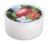 Контейнер пластиковый Эффект Яблоко 1лит (БАШ) Арт-М5628