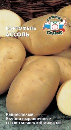 Картофель Ассоль ЦВ/П (СЕДЕК) 0,02гр раннеспелый желтый Картофель Ассоль ЦВ/П (СЕДЕК) 0,02гр раннеспелый желтый