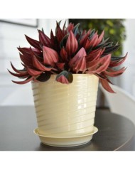 Горшок Верона 0,75лит D-11см Крем с поддоном (фиалочница)