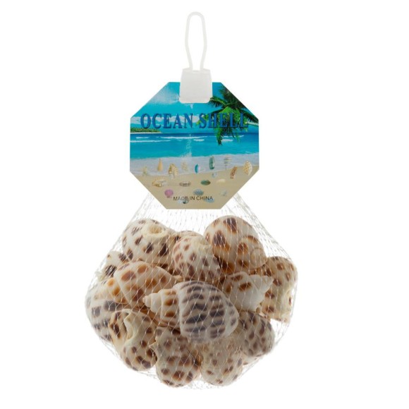 Набор Ракушек 150гр Арт-A066