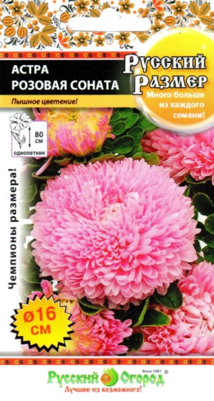 Цветы Астра Русский размер Розовая соната ЦВ/П (РУССКИЙ ОГОРОД) 0,2гр однолетник до 80см