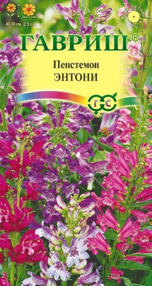 Цветы Пенстемон Энтони Смесь ЦВ/П (ГАВРИШ) 0,1гр однолетник до 80см
