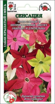 Цветы Табак Душистый Сенсация смесь ЦВ/П (СОТКА) 0,1гр однолетник 50-70см