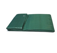 ТЕНТ универсальный 6м*10м Зелёный (120гр/м2)