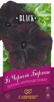 Цветы Петуния Чёрный Бархат F1 ЦВ/П (ГАВРИШ) 5шт однолетник 25-35см