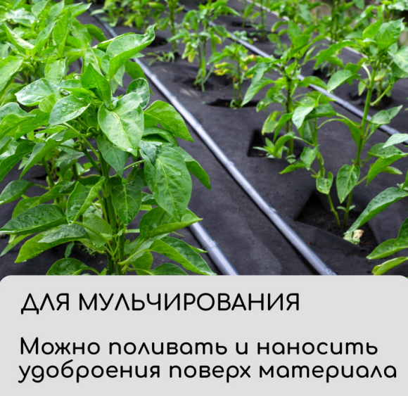 Упаковка Агротекс Чёрный М-90 шир 1.6м /длина 5метр