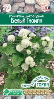 Цветы Гомфрена Белый гномик шаровидная ЦВ/П (ЕС) 8шт многолетник сухоцвет 15-25см