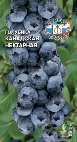 Голубика канадская Нектарная ЦВ/П (СЕДЕК) 0,05гр кустарник 1,5-2,0м