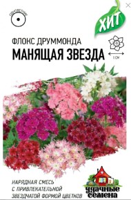 Цветы Флокс Друммонда Манящая Звезда ЦВ/П (ГАВРИШ) серия ХИТ 0,1гр смесь однолетник 30-40см
