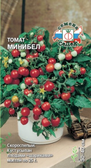 Томат Минибел ЦВ/П (СЕДЕК) 0,1гр скороспелый комнатный 30-40см Томат Минибел ЦВ/П (СЕДЕК) 0,1гр скороспелый комнатный 30-40см