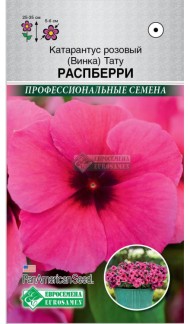 Цветы Катарантус Розовый (Винка) Тату Распберри ЦВ/П (ЕС) 5шт однолетник 25-35см