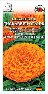 Цветы Бархатцы Дискавери Оранж ЦВ/П (СОТКА) 5шт однолетник до 25см
