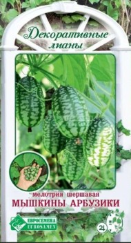 Мелотрия Мышкины арбузики шершавая ЦВ/П (ЕС) 15шт многолетник лиана до 3м