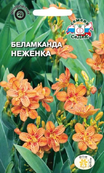 Цветы Беламканда Неженка ЦВ/П (СЕДЕК) 0,2гр многолетник 60-70см