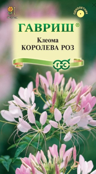 Цветы Клеома Королева Роз ЦВ/П (ГАВРИШ) 0,2гр однолетник до 1,5м Цветы Клеома Королева Роз ЦВ/П (ГАВРИШ) 0,2гр однолетник до 1,5м