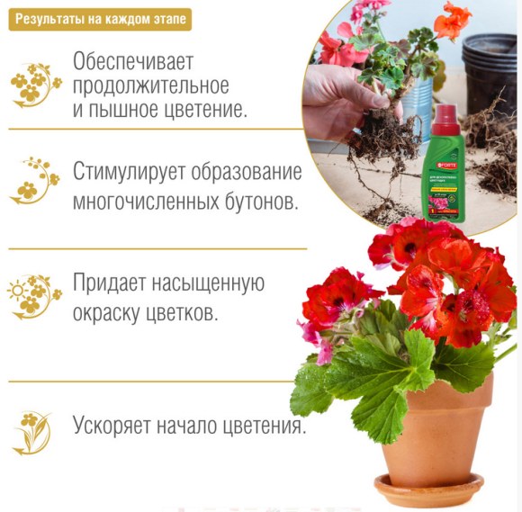 Удобрение Бона Форте Красота Декоративно-Цветущих Растений 285мл (1уп/20шт) min 3шт Удобрение Бона Форте Красота Декоративно-Цветущих Растений 285мл (1уп/20шт) min 3шт