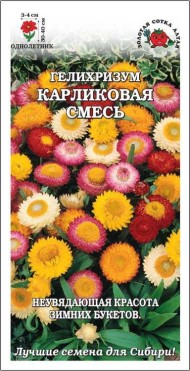 Цветы Гелихризум Карликовый Смесь ЦВ/П (СОТКА) 0,1гр однолетник сухоцвет 30-40см