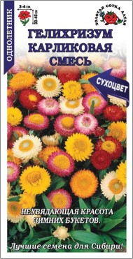 Цветы Гелихризум Карликовый Смесь ЦВ/П (СОТКА) 0,1гр однолетник сухоцвет 30-40см