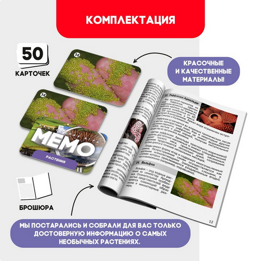 Игра Мемо Растения Арт-9934007