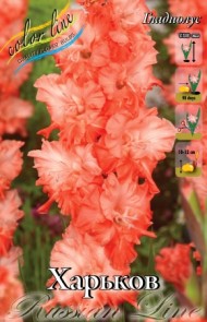 Гладиолусы Харьков 10*12 (1уп/8шт) СУПЕРГОФРИР