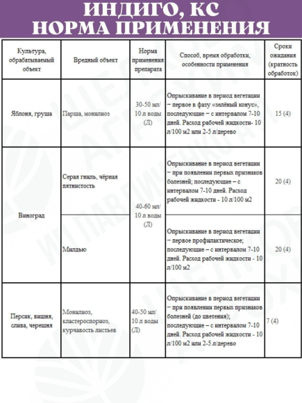 Индиго Бордоская КС" 250мл Октябрина Апрелевна (1уп/20шт)