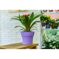 Горшок Тоскана 3,1лит D-19см Лаванда с поддоном