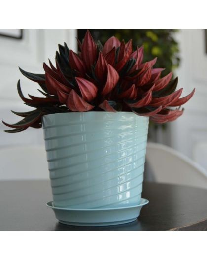 Горшок Верона 0,75лит D-11см Мята с поддоном (фиалочница)