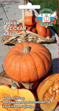 Тыква Русская каша F1 ЦВ/П (СЕДЕК) 1гр раннеспелый длинноплетистый