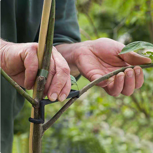 Веткодержатель набор 5шт*9см Арт-9914239