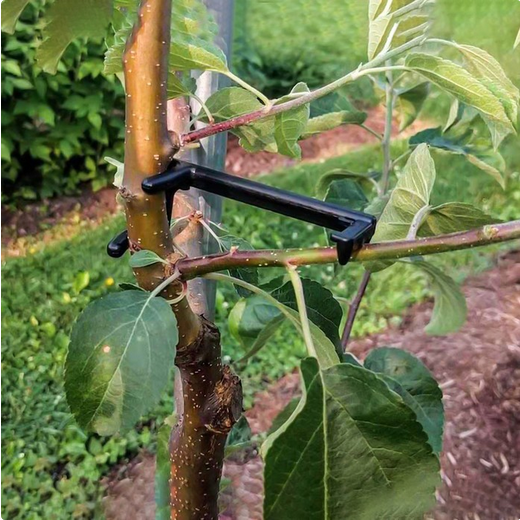 Веткодержатель набор 5шт*9см Арт-9914239