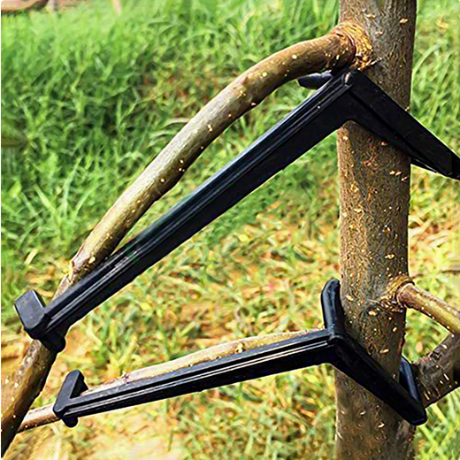 Веткодержатель набор 5шт*9см Арт-9914239