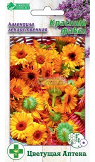 Цветы Календула Красный факел ЦВ/П (ЕС) 10шт лекарственный однолетник 60см