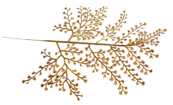 Ветка Аспарагуса одиночная 37 см ЗОЛОТО Ветка Аспарагуса одиночная 37 см ЗОЛОТО