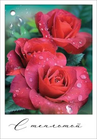 Подвески С теплотой 20шт Арт-2901811