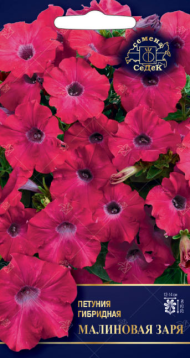 Цветы Петуния Малиновая Заря F1 ЦВ/П (СЕДЕК) 5шт однолетник 20-25см