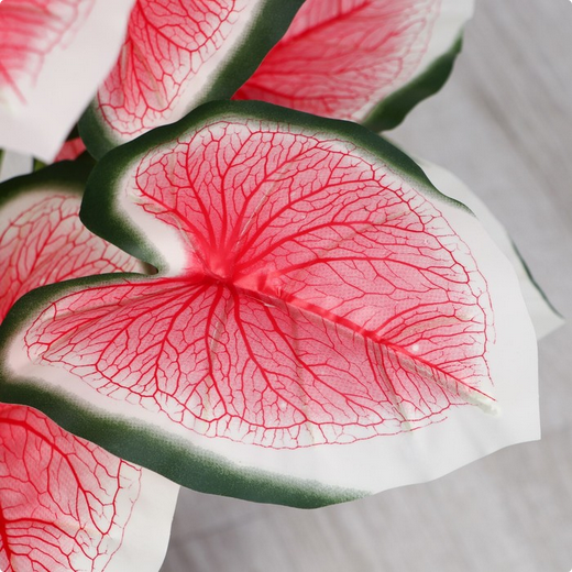 Дерево искусственное Каладиум Флорида 87см Арт-10104995 Дерево искусственное Каладиум Флорида 87см Арт-10104995