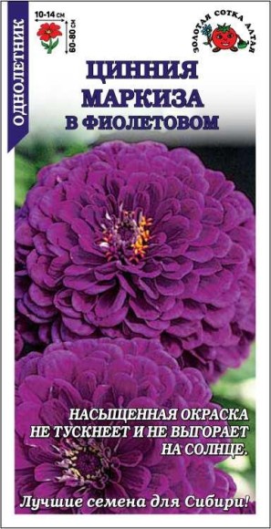 Цветы Цинния Маркиза в Фиолетовом ЦВ/П (СОТКА) 0,2гр однолетник 70-90см