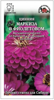 Цветы Цинния Маркиза в Фиолетовом ЦВ/П (Сотка) 0,3гр однолетник 70-90см