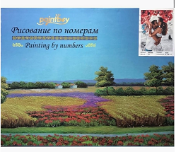 Картина с красками 40*50см