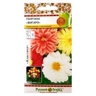 Цветы Георгина Фигаро Смесь ЦВ/П (РУССКИЙ ОГОРОД) 0,2гр однолетник 25см