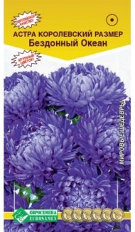 Цветы Астра Королевский размер Бездонный океан ЦВ/П (ЕС) 0,1гр однолетник до 90см